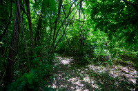 3163 Lindale - Mt. Holly -4249