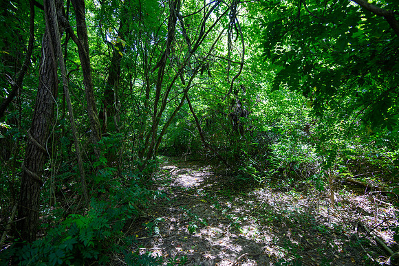 3163 Lindale - Mt. Holly -4249