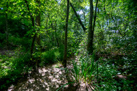 3163 Lindale - Mt. Holly -4251