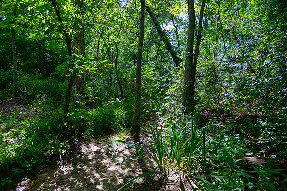 3163 Lindale - Mt. Holly -4251