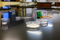 AP Bio Lab