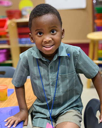 MVCA PS-2999