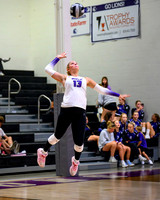 Volleyball Action