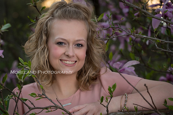 SBP_8530-2