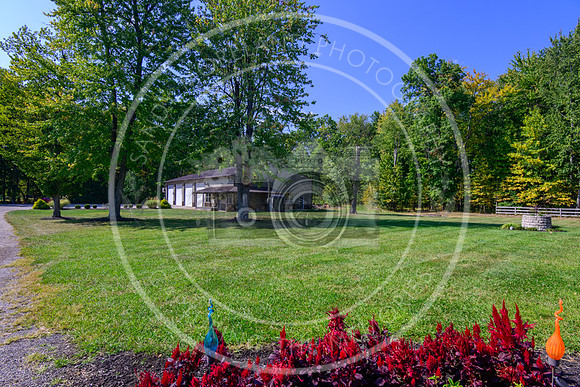 164 Amelia Olive Branch-6277