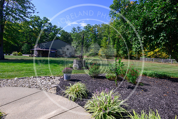 164 Amelia Olive Branch-6255