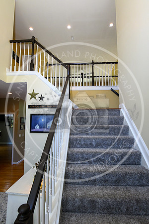 164 Amelia Olive Branch-6177