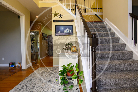 164 Amelia Olive Branch-6131