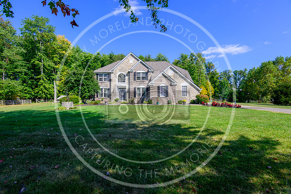 164 Amelia Olive Branch-6261