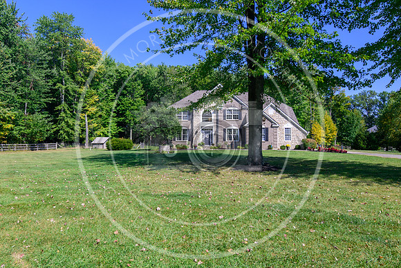 164 Amelia Olive Branch-6286