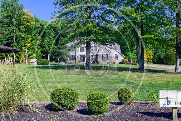 164 Amelia Olive Branch--32