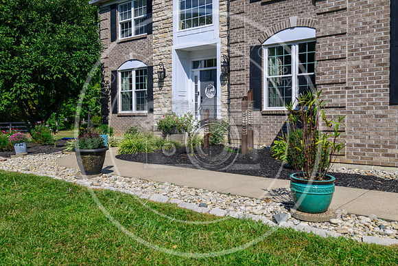 164 Amelia Olive Branch-6278