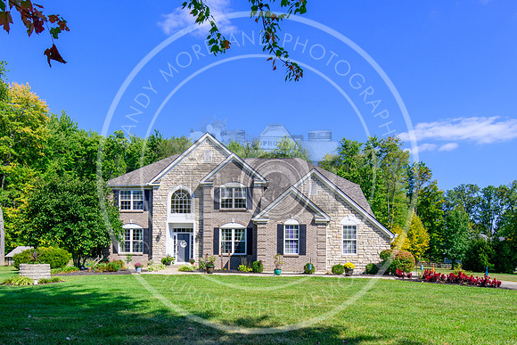 164 Amelia Olive Branch-6260
